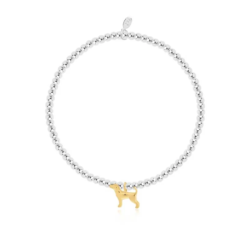 A Little Labradorable Bracelet
