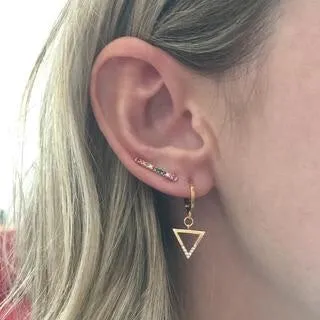 Farrah b Rainbow Earrings