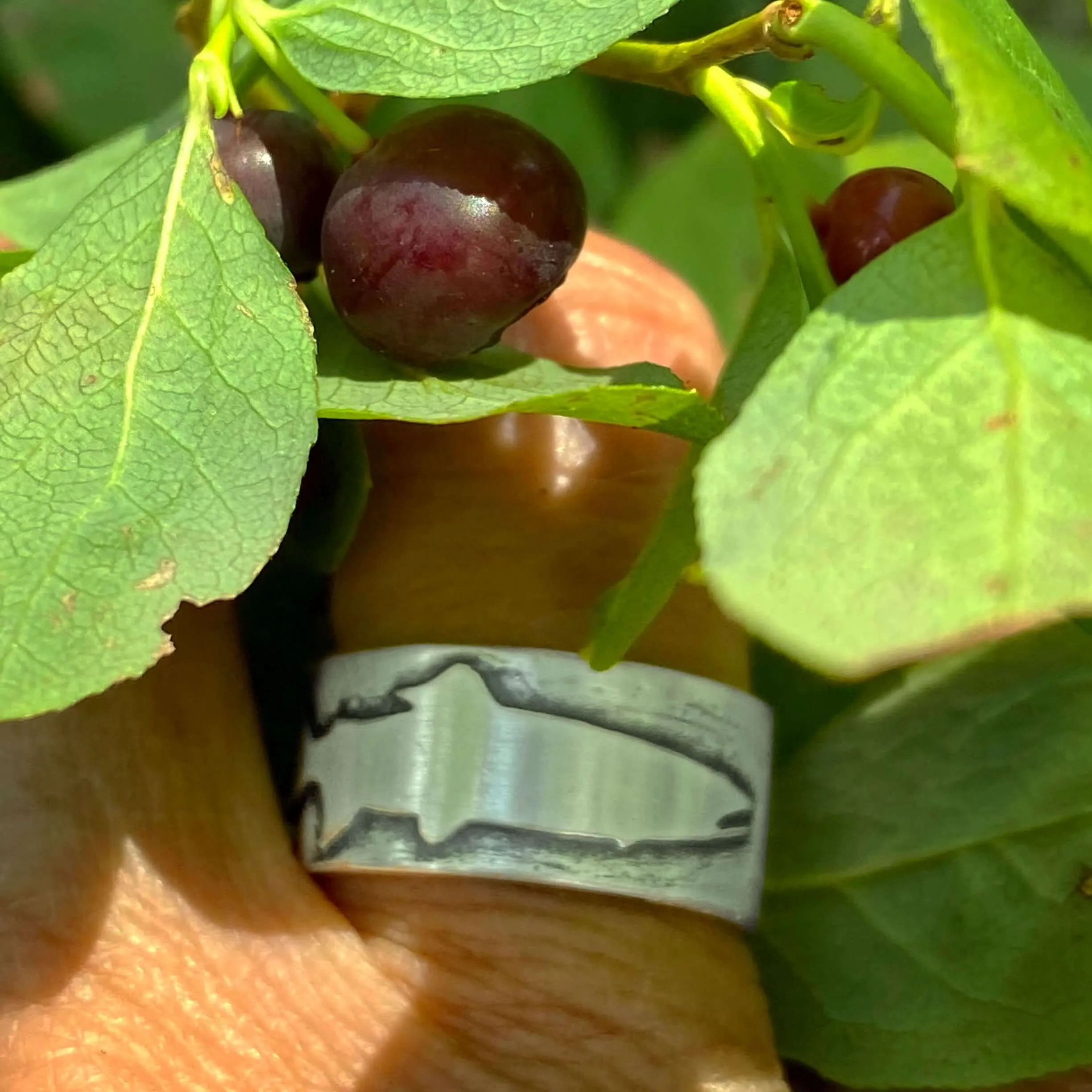 Trout Ring